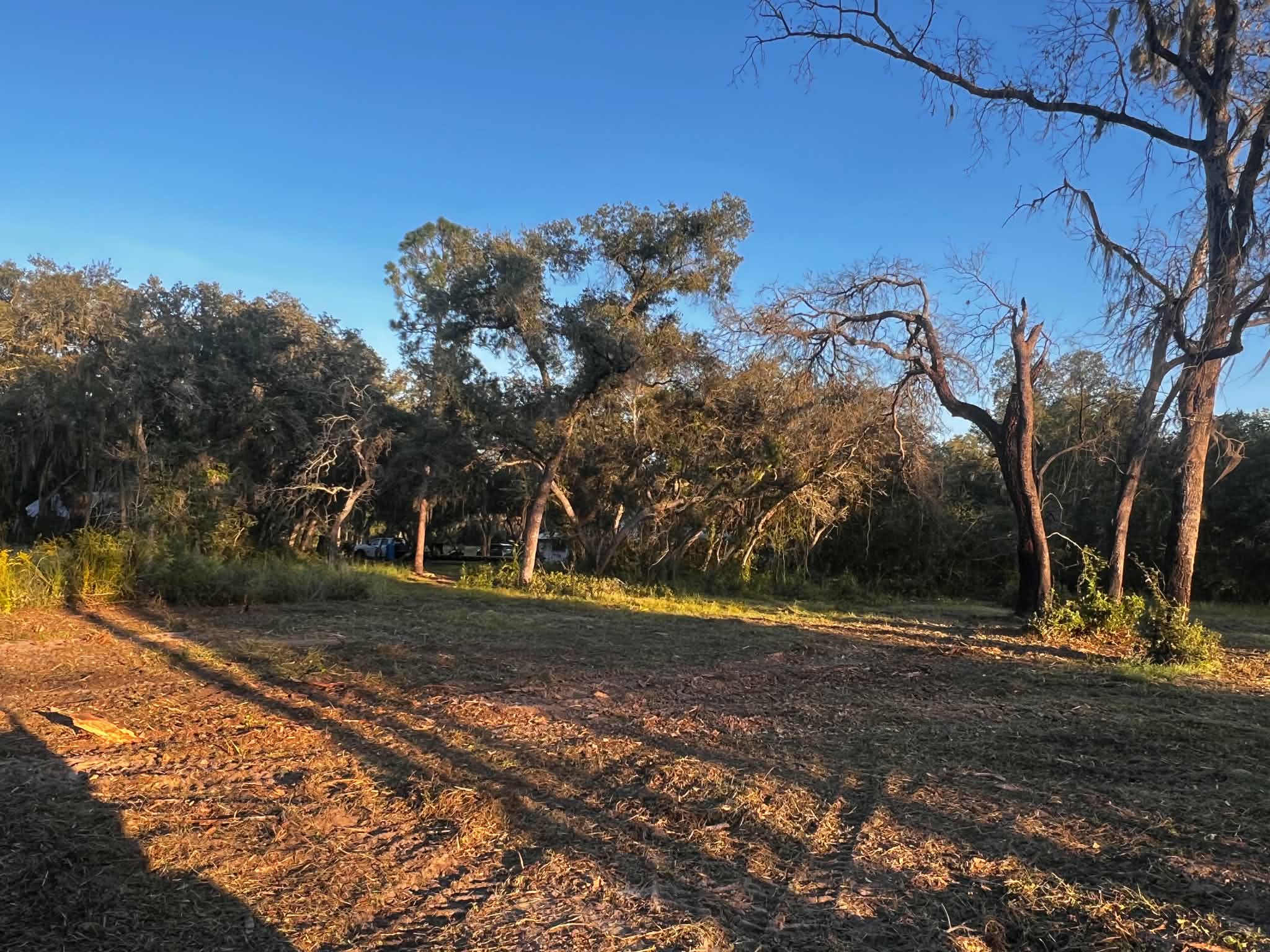 Freshly cleared acreage