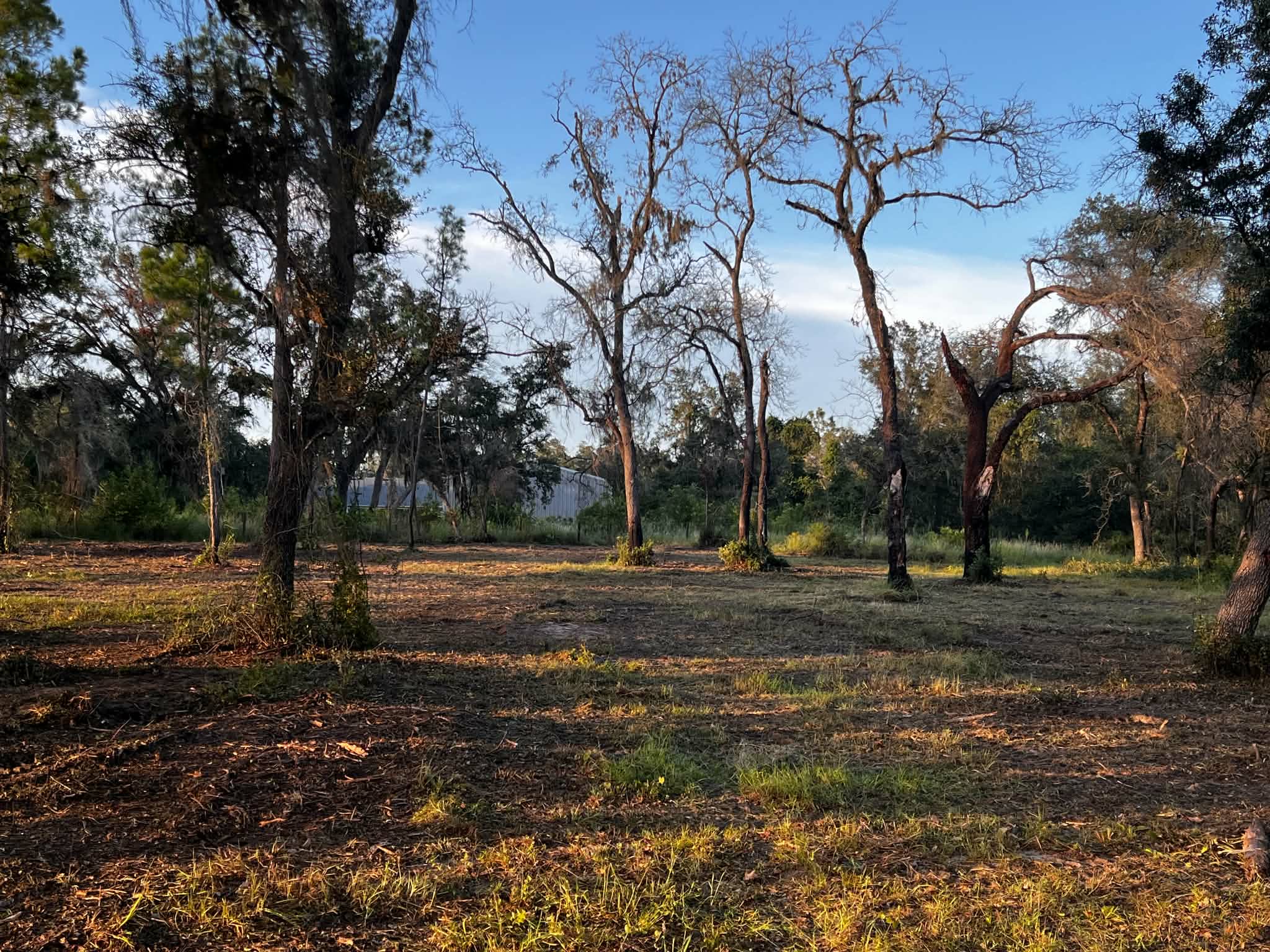 Property opened for its next use