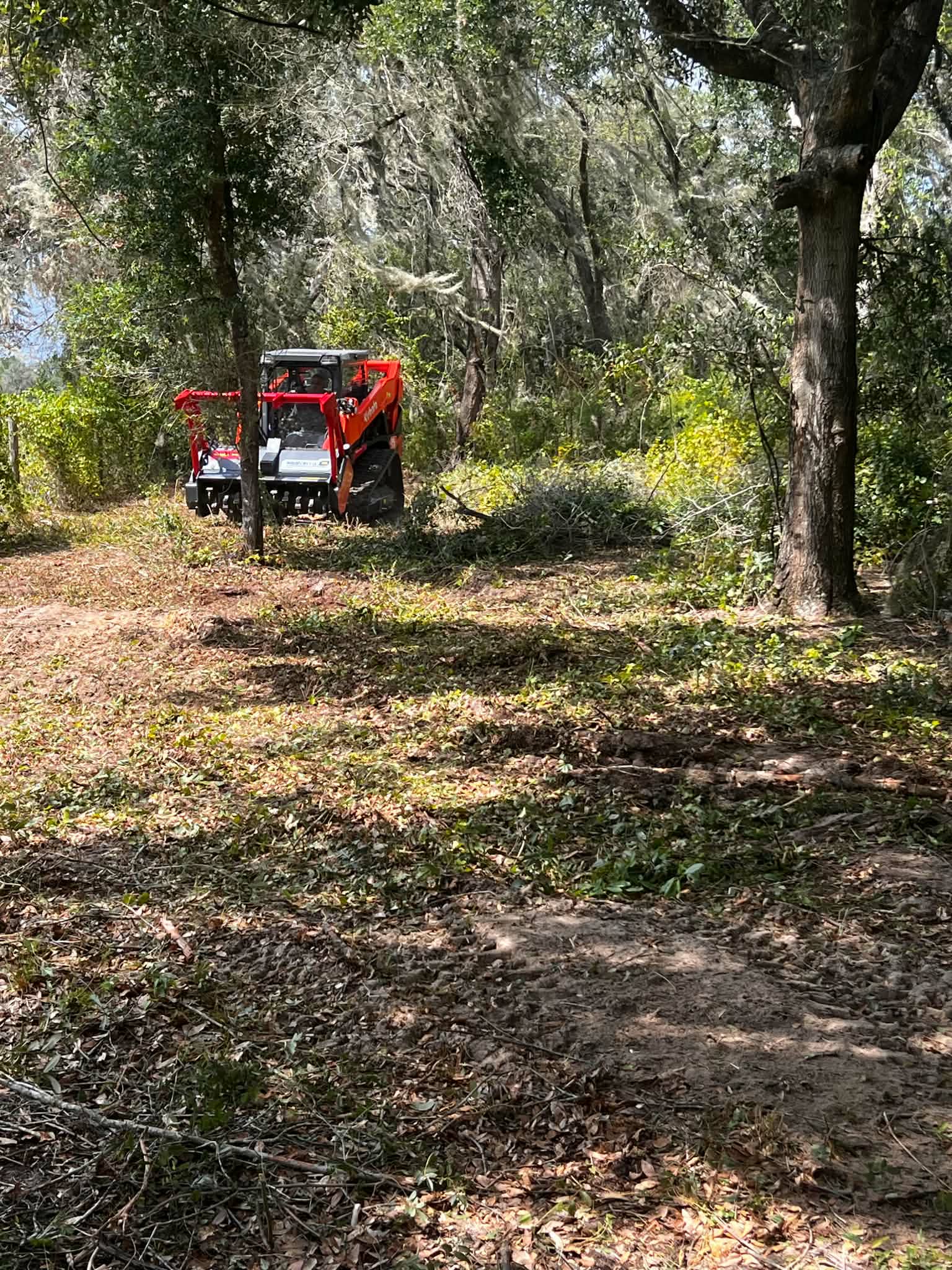 BoomFroggie track skid steer clearing wooded land