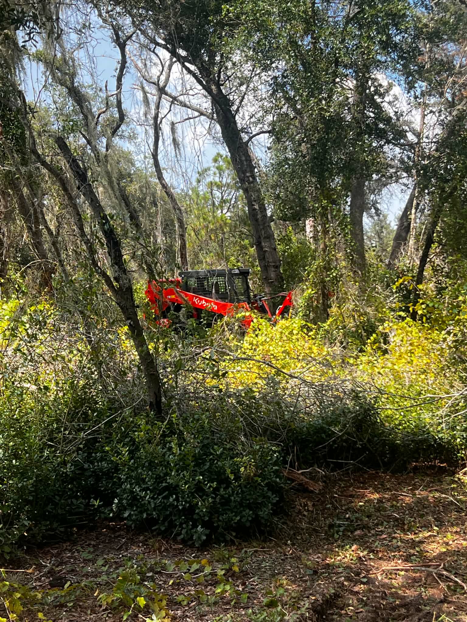 Mulching through dense growth